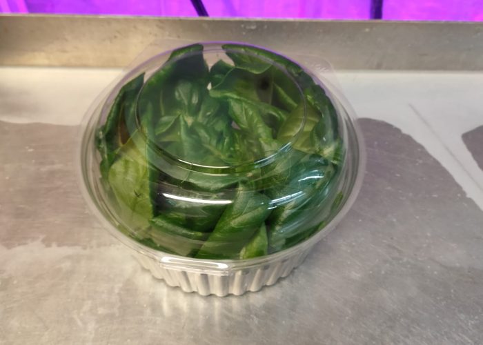 Whole Head in A Box Accufarms Whole Head in A Box Accufarms